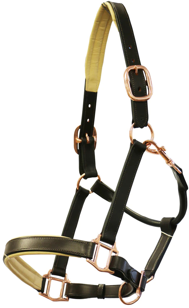 Jeremy Lord Padded Leather Halter