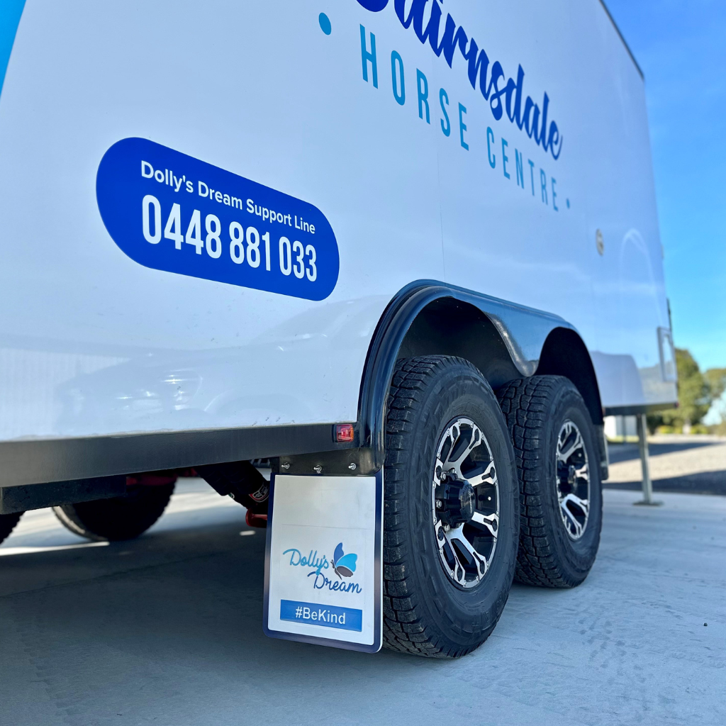 Dollys Dream Mudflaps