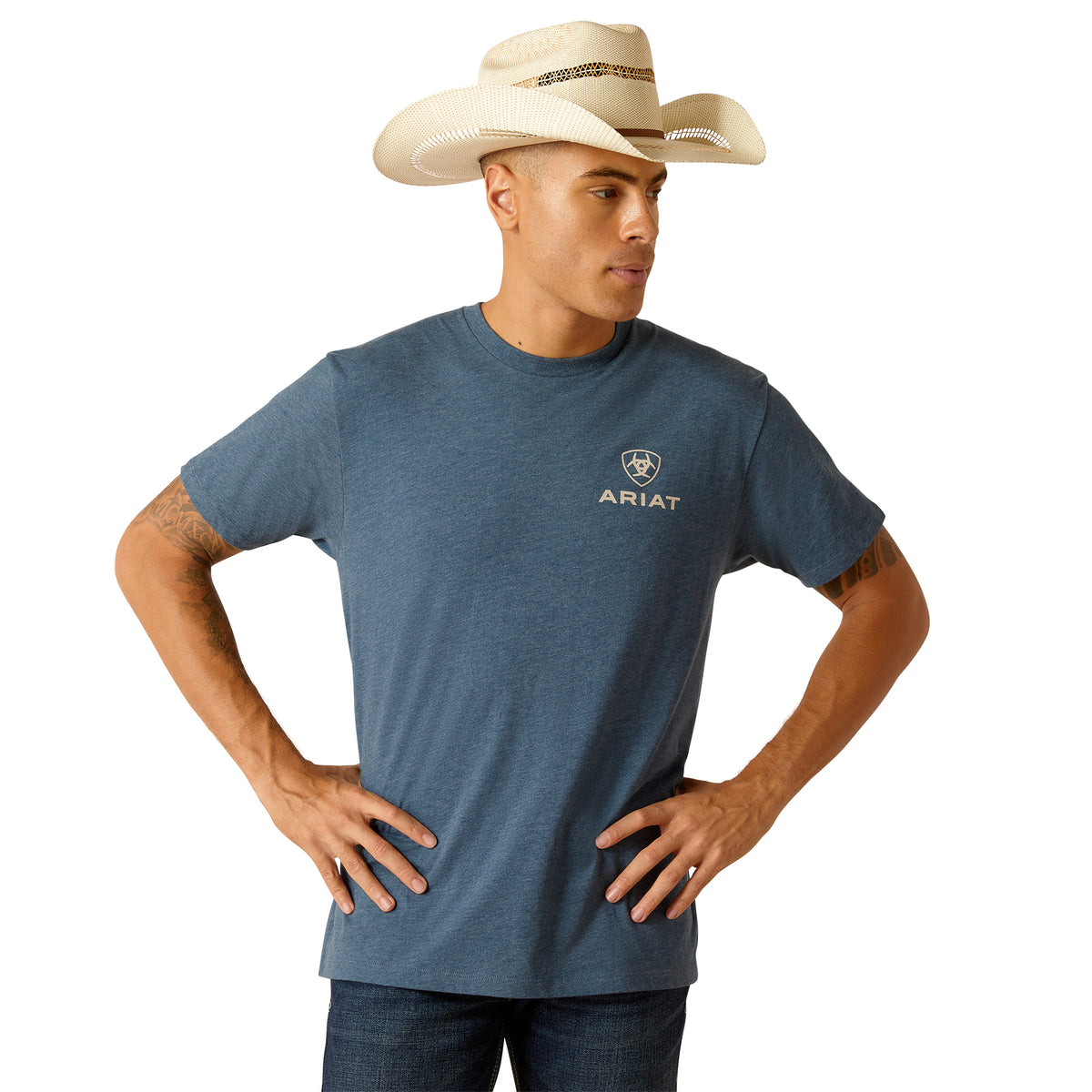 Ariat Mens SW Fill Bison Tee - Sailor Blue Heather