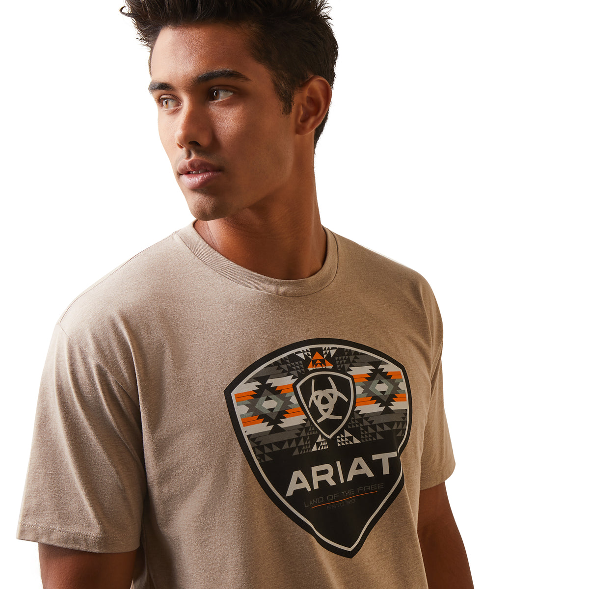 Ariat Mens Geo Fill T-Shirt - Oatmeal Heather