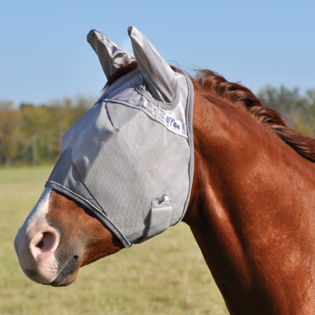 Crusader Fly Mask w/Ears