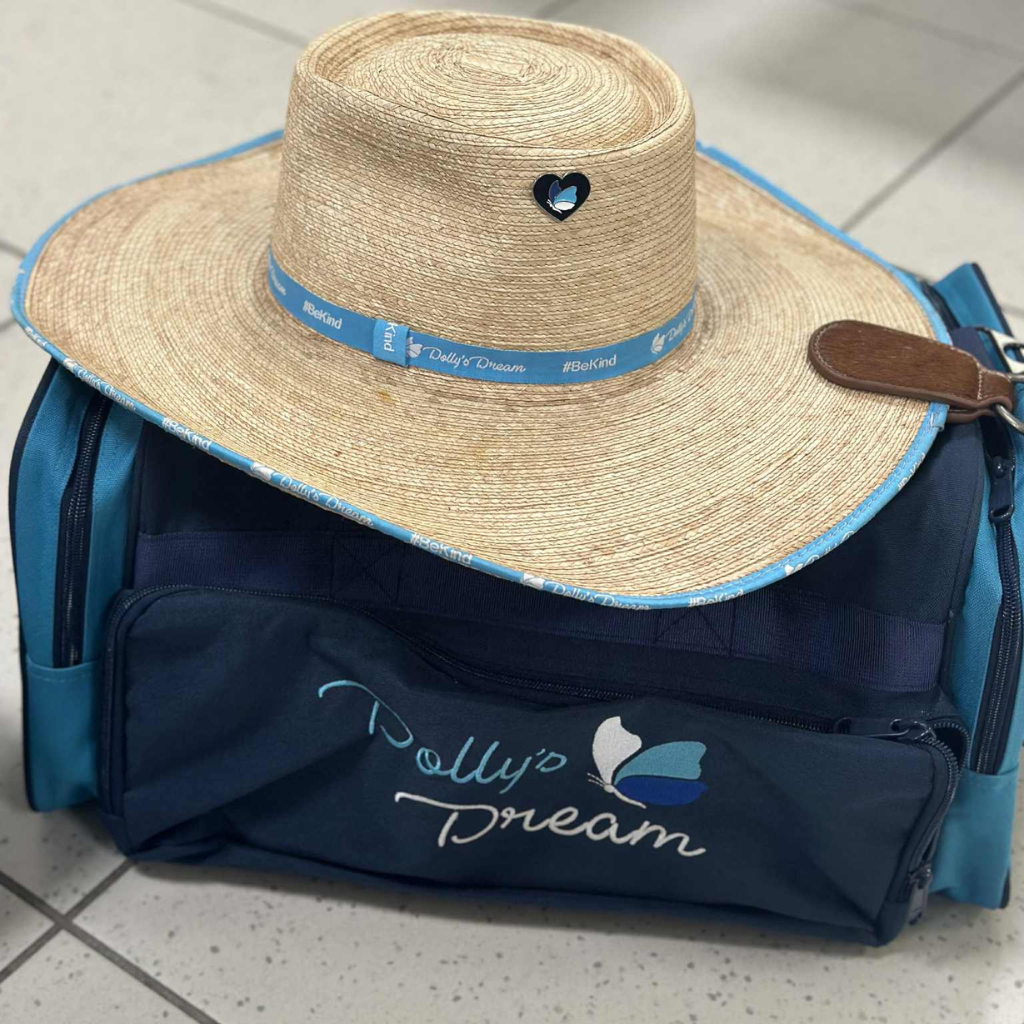 Dollys Dream Hat Pin