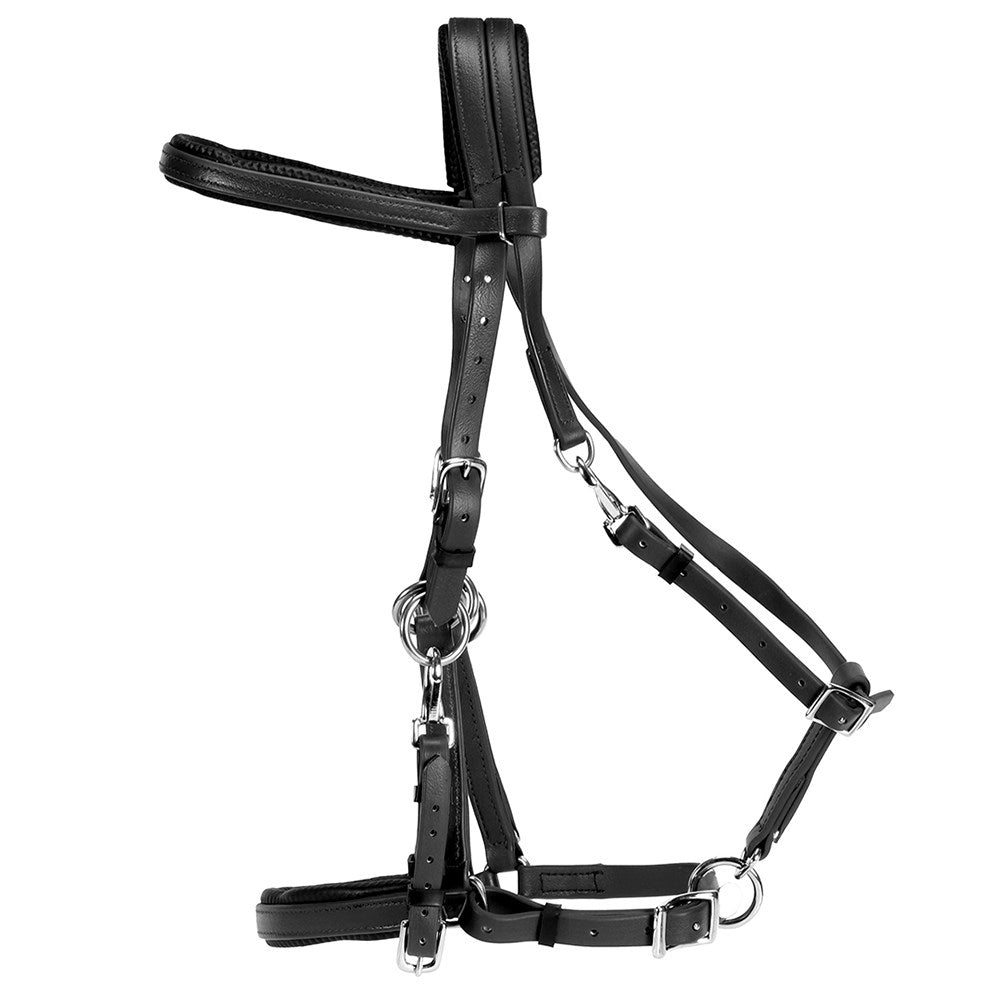 Endurance Bridle