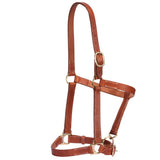Fort Worth Leather Halter w/curb Adjustment