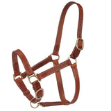 Fort Worth Leather Halter w/curb Adjustment