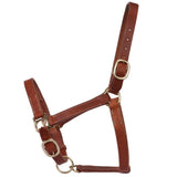 Fort Worth Leather Halter w/curb Adjustment