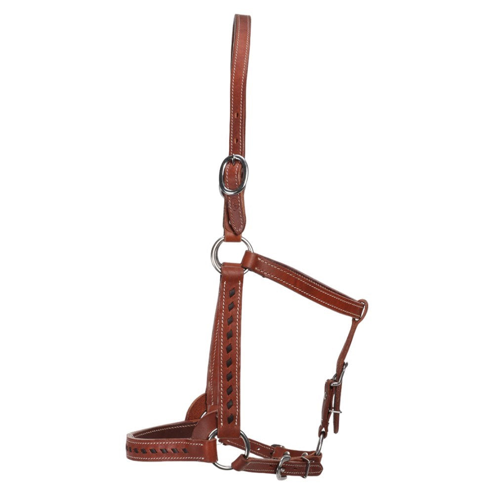 Fort Worth Mika Leather Halter