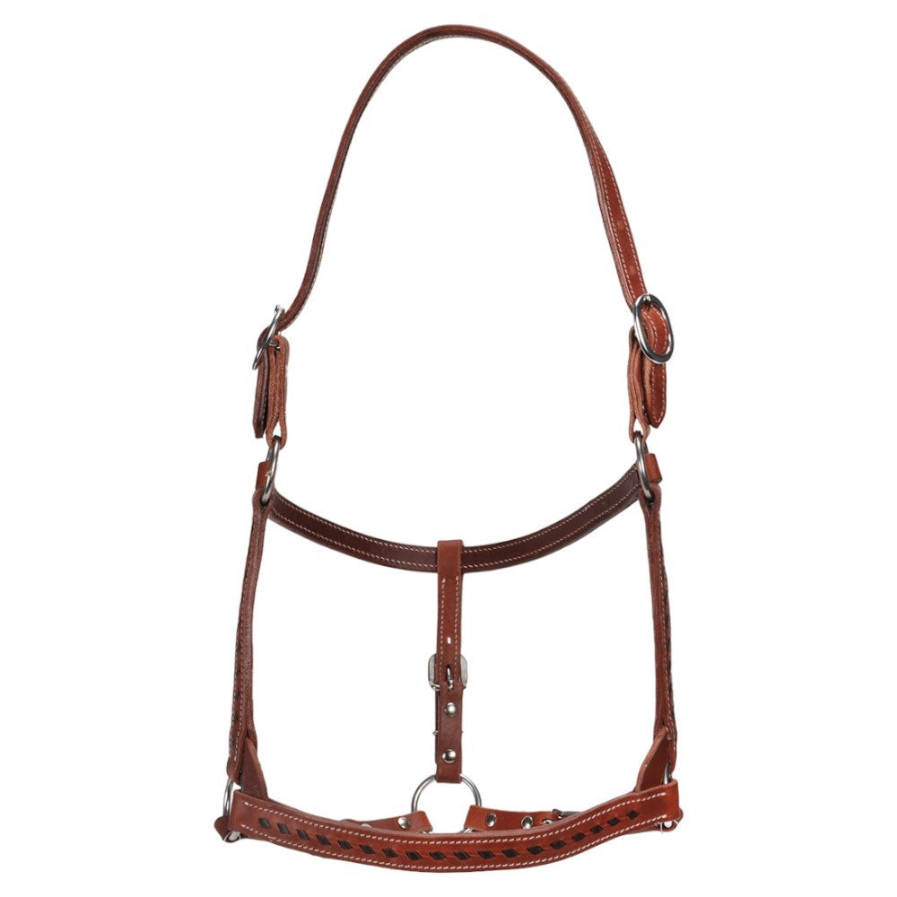 Fort Worth Mika Leather Halter