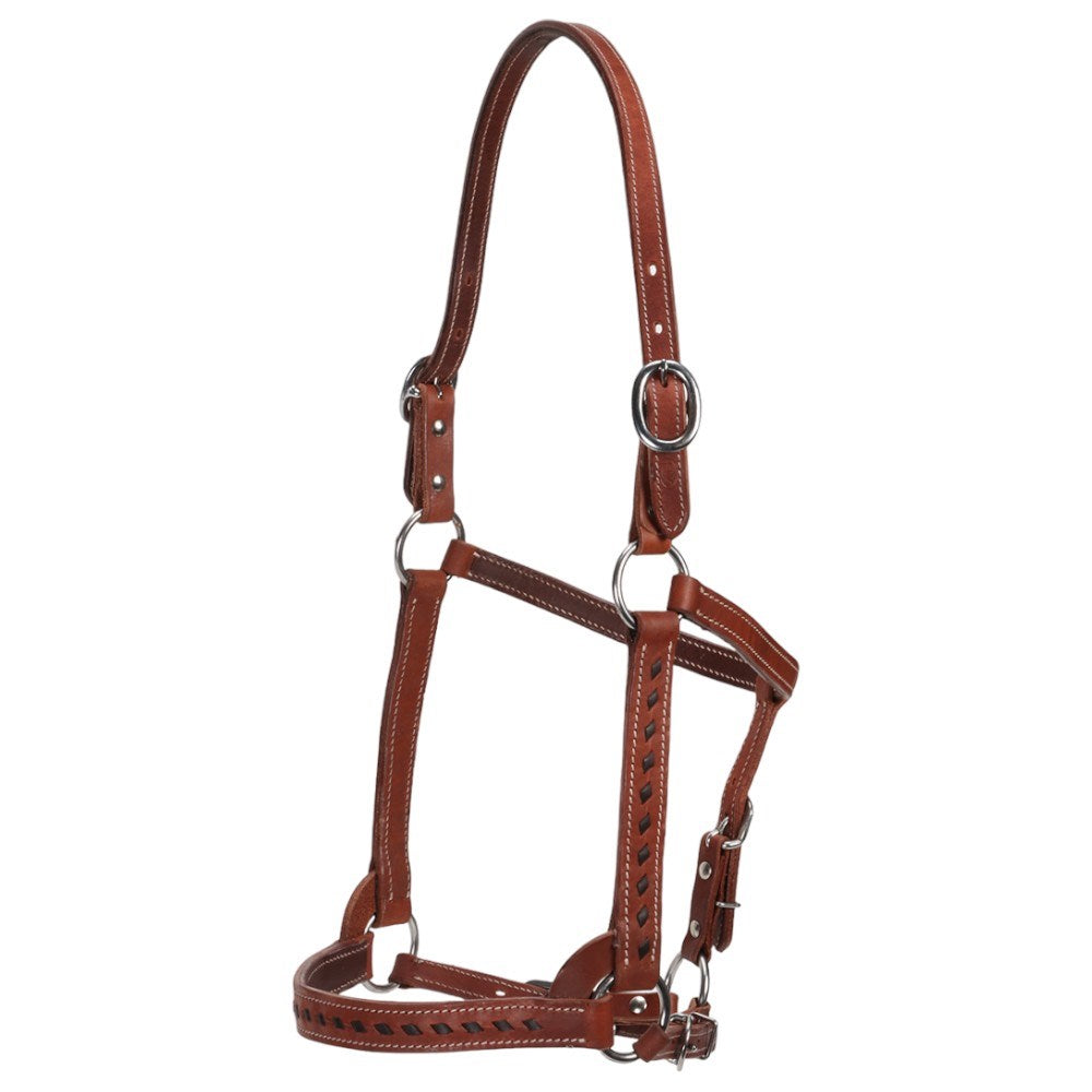 Fort Worth Mika Leather Halter