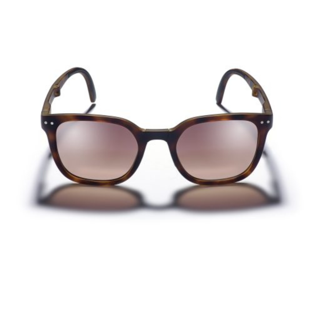 Gidgee Eyewear Canter - Tortoise