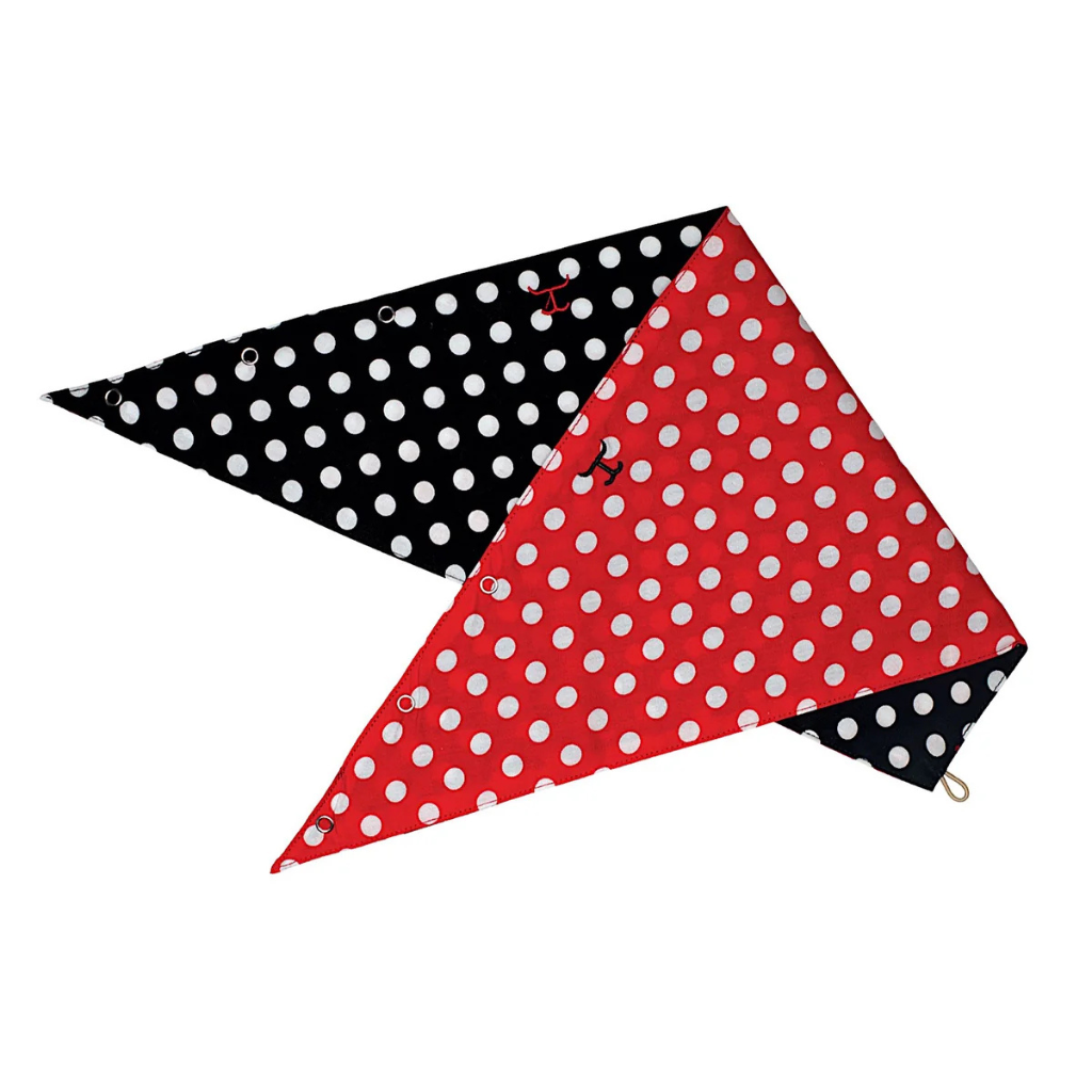 Just Country Carlee Double Sided Scarf - Black/Red Polka Dots