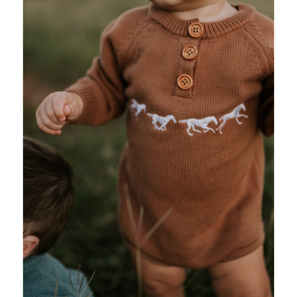 Little Windmill Boys Sid Cotton Knit Romper - Chocolate