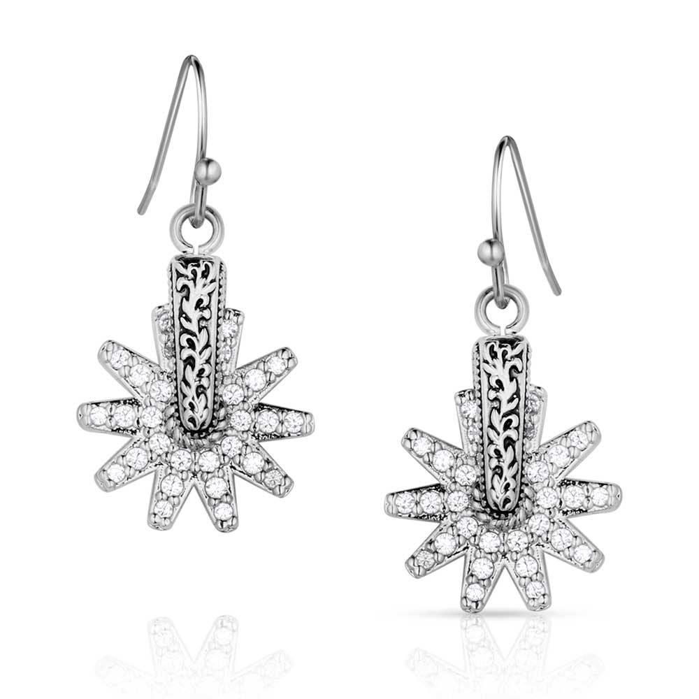 Montana Earrings - ER5823