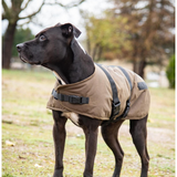 Outback Trading Clancy Dog Coat – Brown