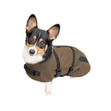 Outback Trading Clancy Dog Coat – Brown