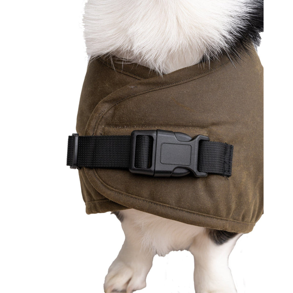 Clancy Dog Coat - Brown