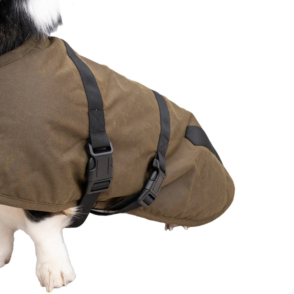 Clancy Dog Coat - Brown