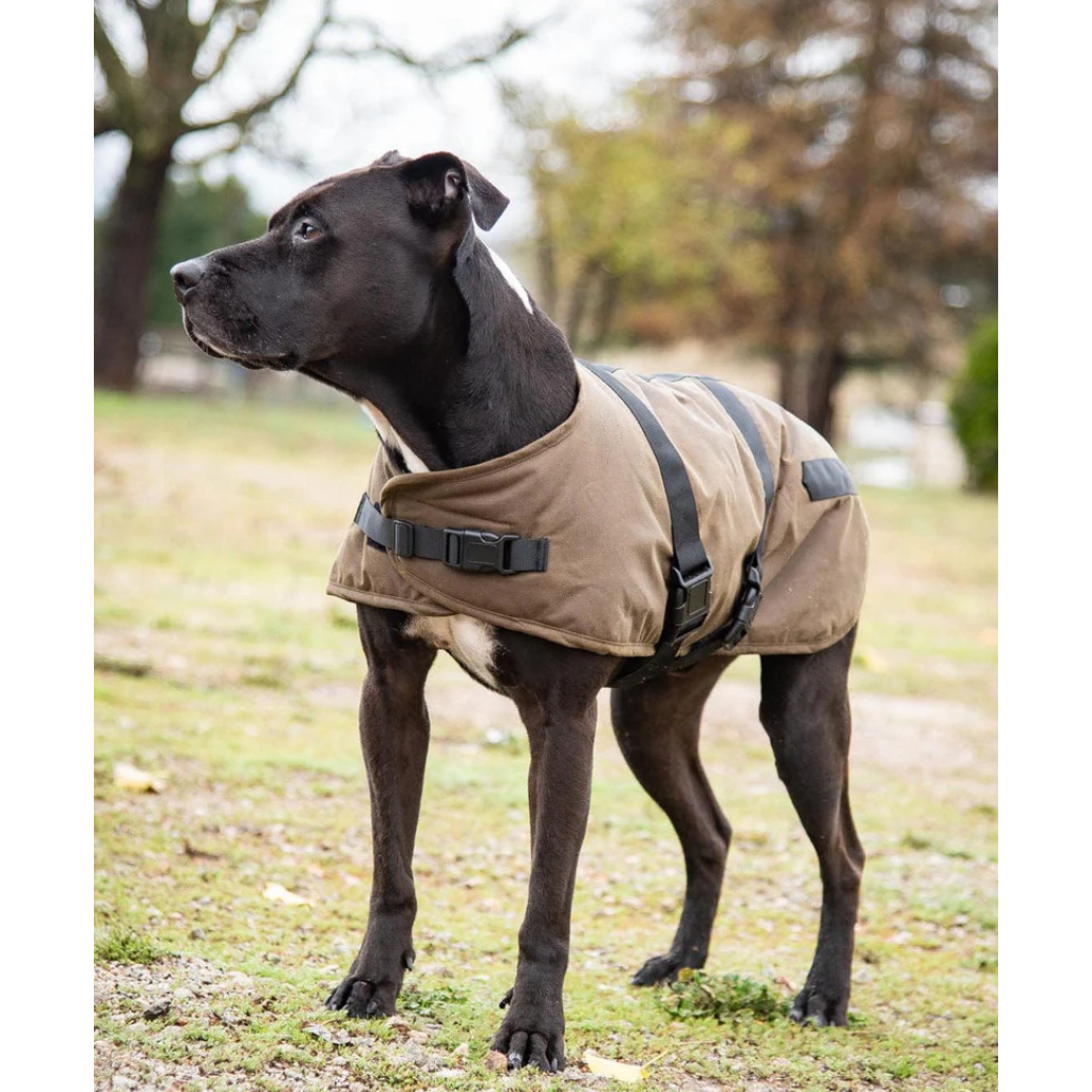 Clancy Dog Coat - Brown