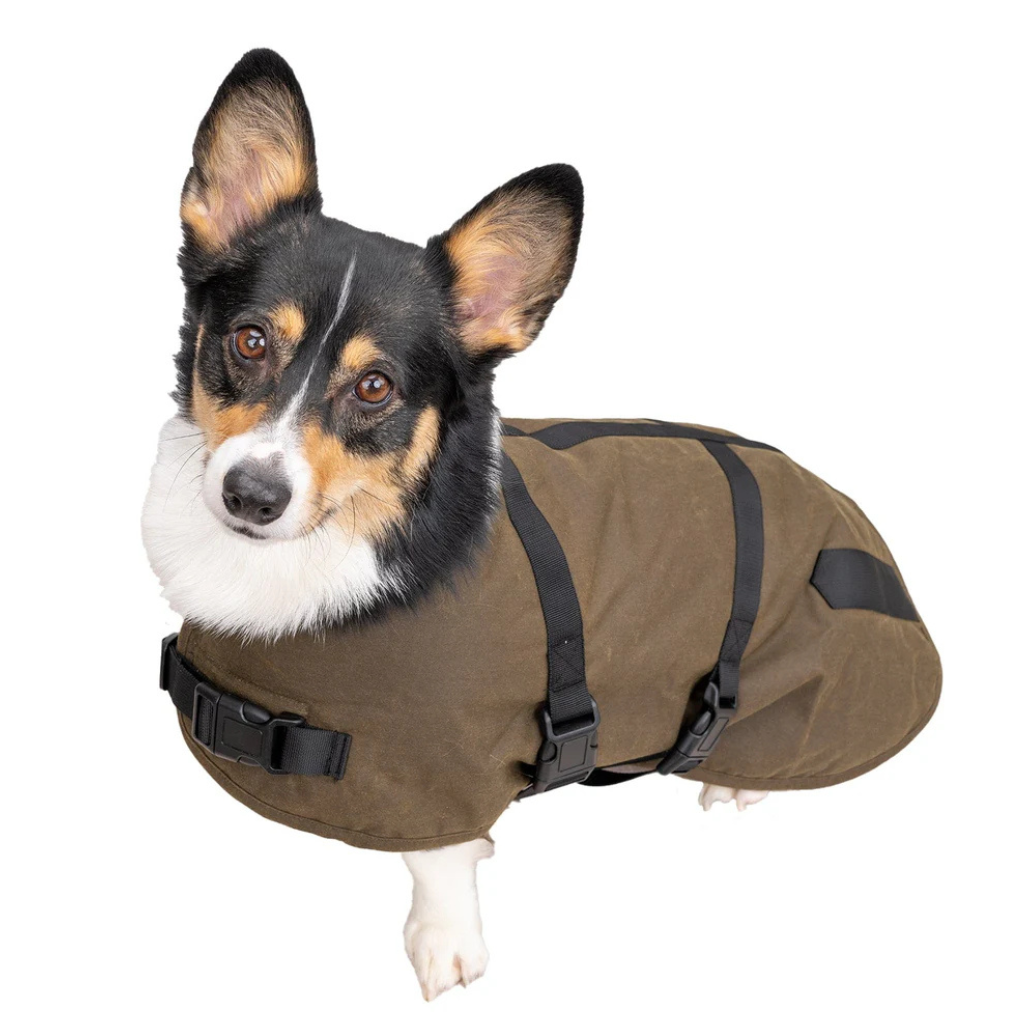 Clancy Dog Coat - Brown