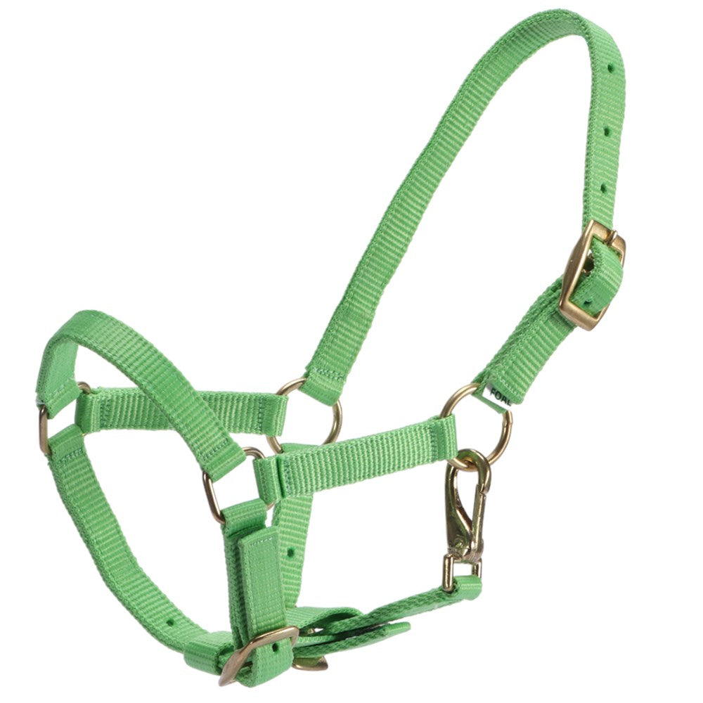 Rancher Foal Halter Assorted Colours