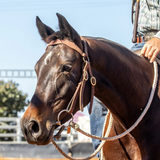 Toprail Equine Winton Challenge Barcoo Bridle