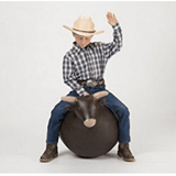 Bouncy Bull