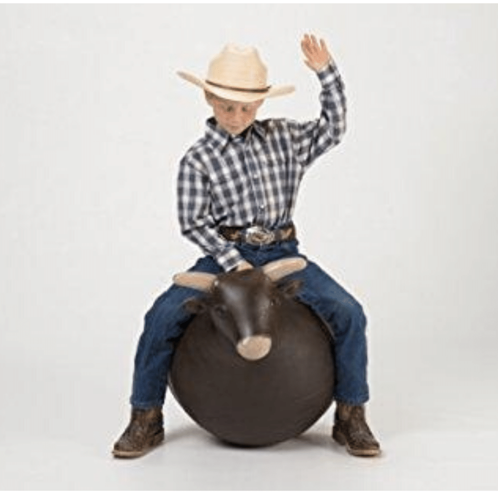 Big country bouncy horse cheap