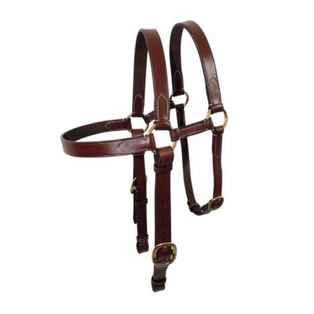 Tanami Extended Bridle Head Fs. Brass[5084B]