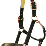 Jeremy Lord Padded Leather Halter