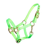 Piccolo Mini Horse Nylon Halter