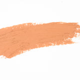 Shell Be Right Concealer Stick