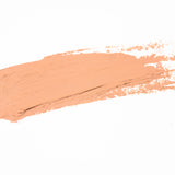 Shell Be Right Concealer Stick
