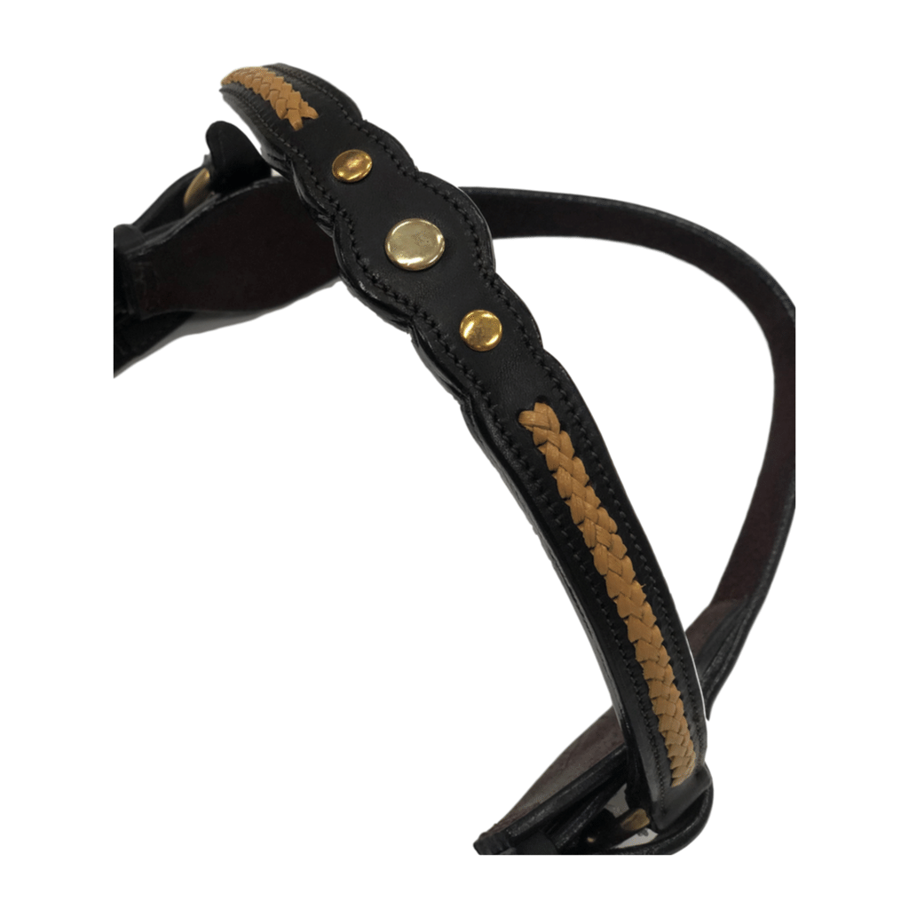 TopRail Equine Leather Show Bridle - Gold Plait Dark